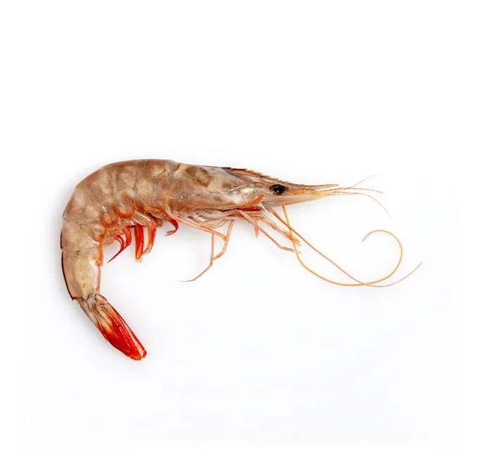langostino banana 2 kg