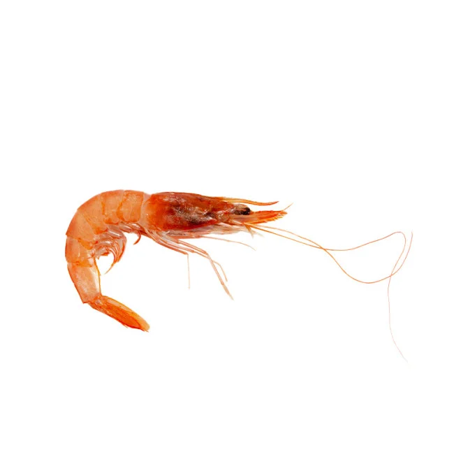 Gamba blanca 2KG