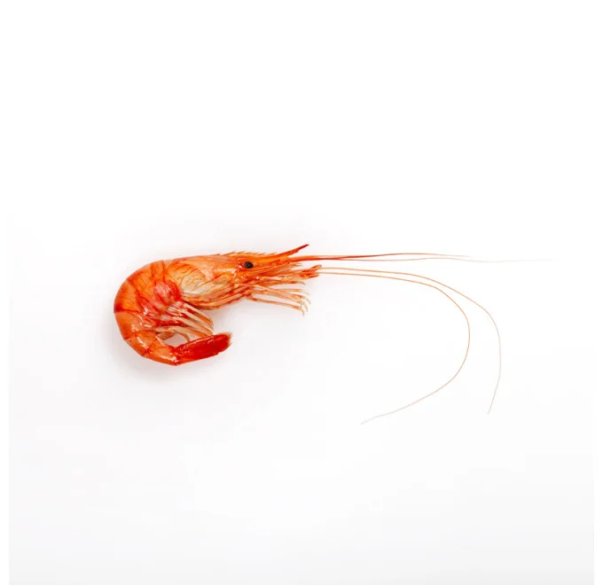 Comprar Camarón Cocido 1kg | Mariscos | Pescanova