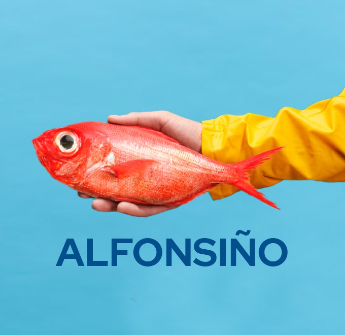 Ilustración de alfonsino sobre fondo azul de la guía de pescados