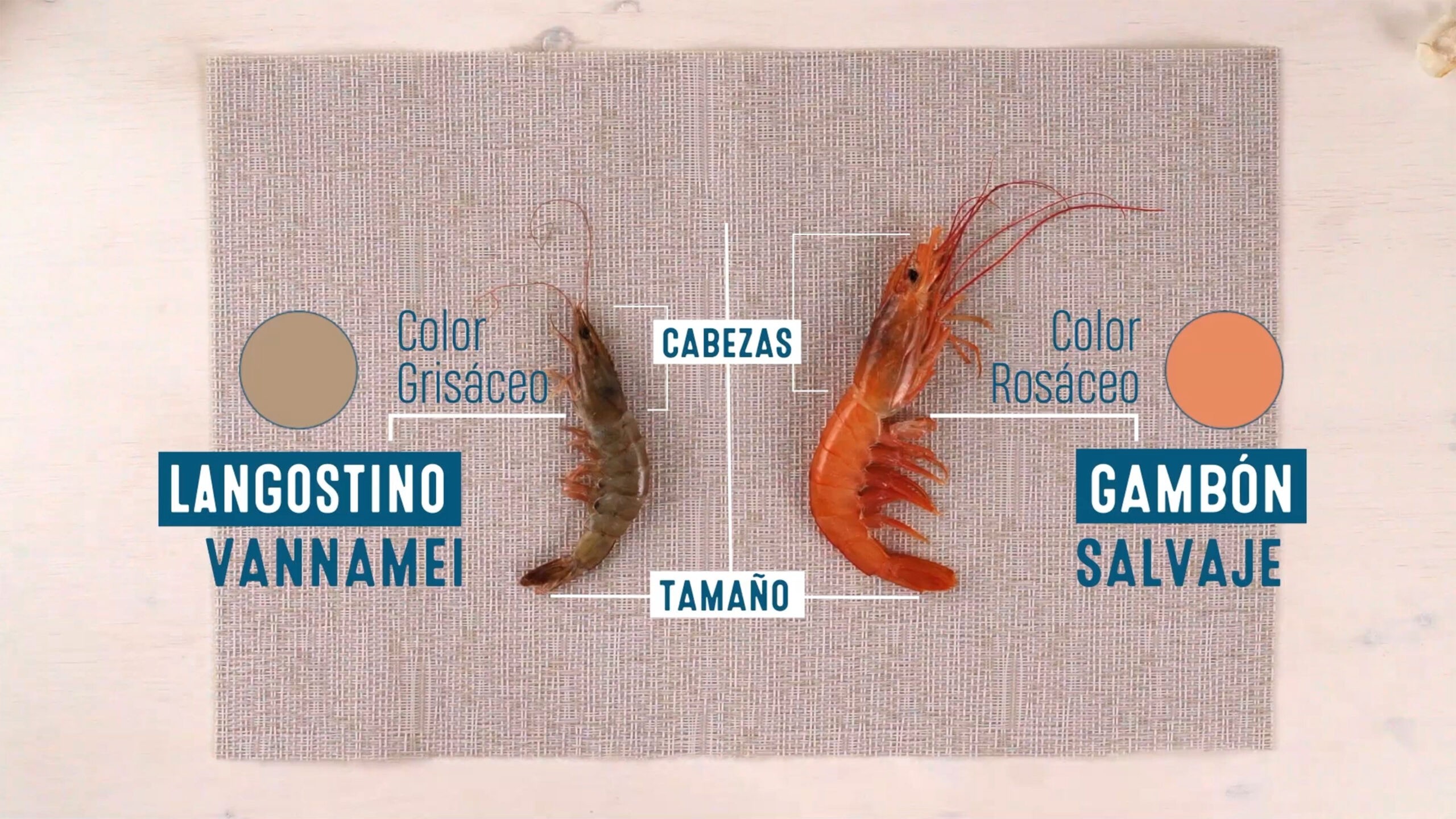 Diferencia entre gambón y langostino